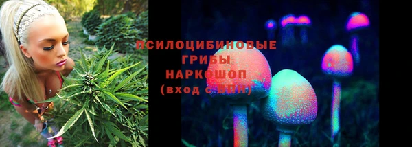 СК Михайловка