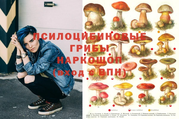 синтетический гашиш Алексин