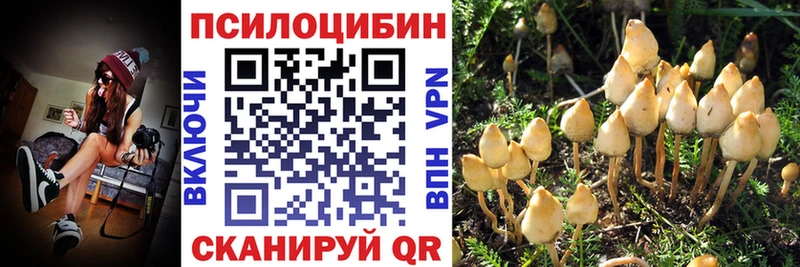 Галлюциногенные грибы ЛСД  цена   Сурск 