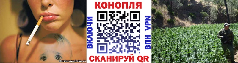 Бошки Шишки LSD WEED  купить наркотик  Сурск 